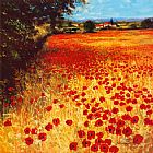 Gold Canvas Paintings - Field of Red and Gold